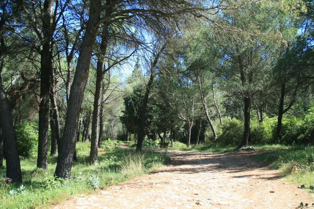 Chambres D'Hotes Le Puid De Gauthier Saturargues Esterno foto